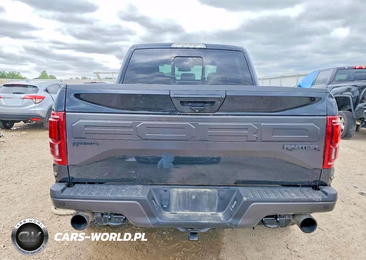 2018 Ford F150 Raptor VIN:1FTFW1RG2JFC14999 - 6