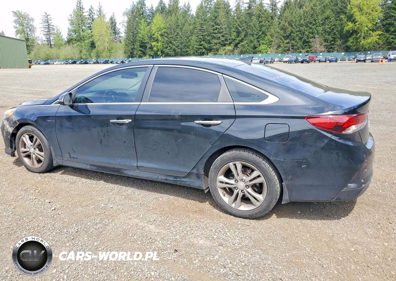 2018 Hyundai Sonata Sel VIN:5NPE34AF0JH628166 - 2