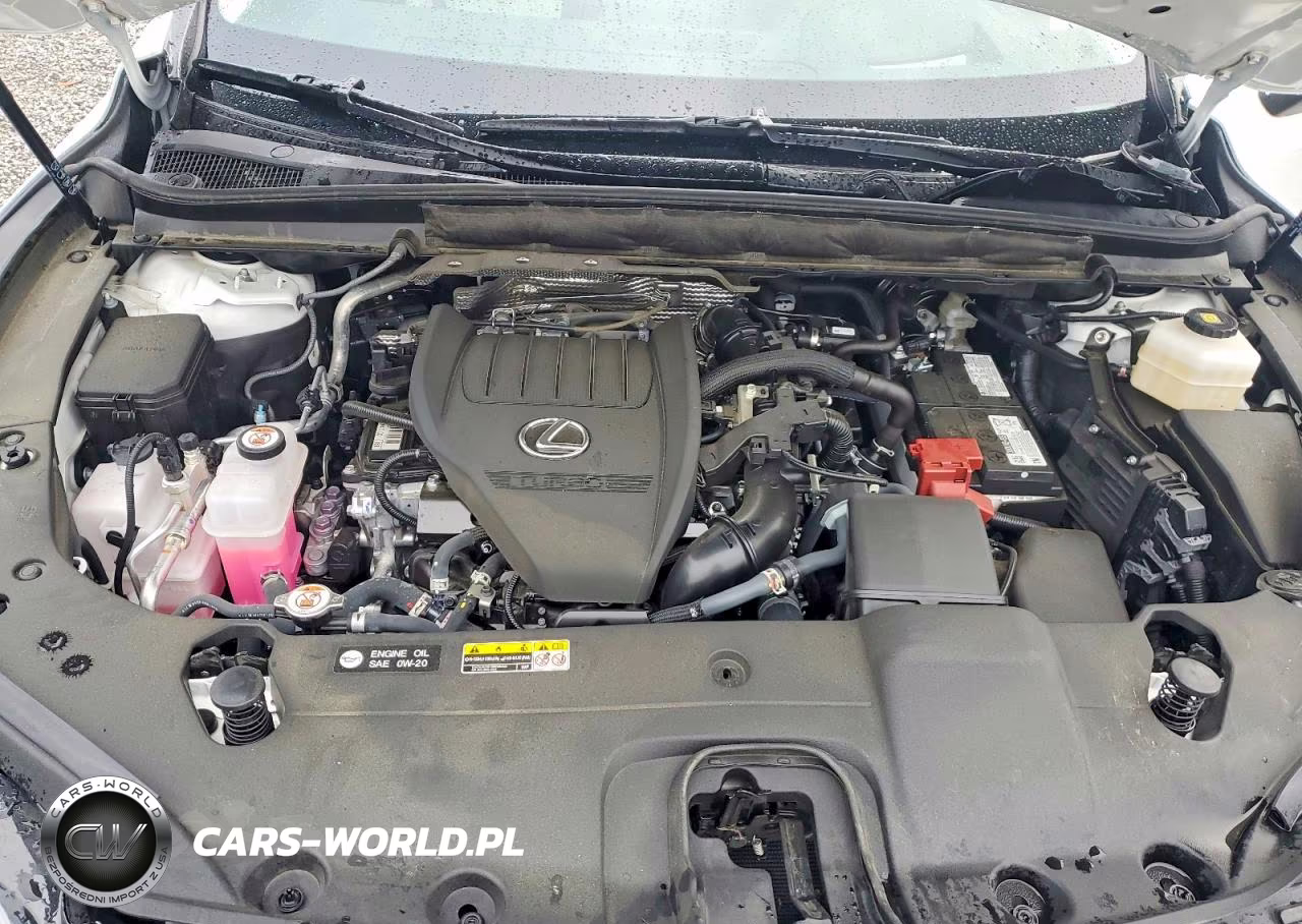 2024 Lexus Rx 350 Luxury VIN:2T2BAMCA1RC084491 - 11