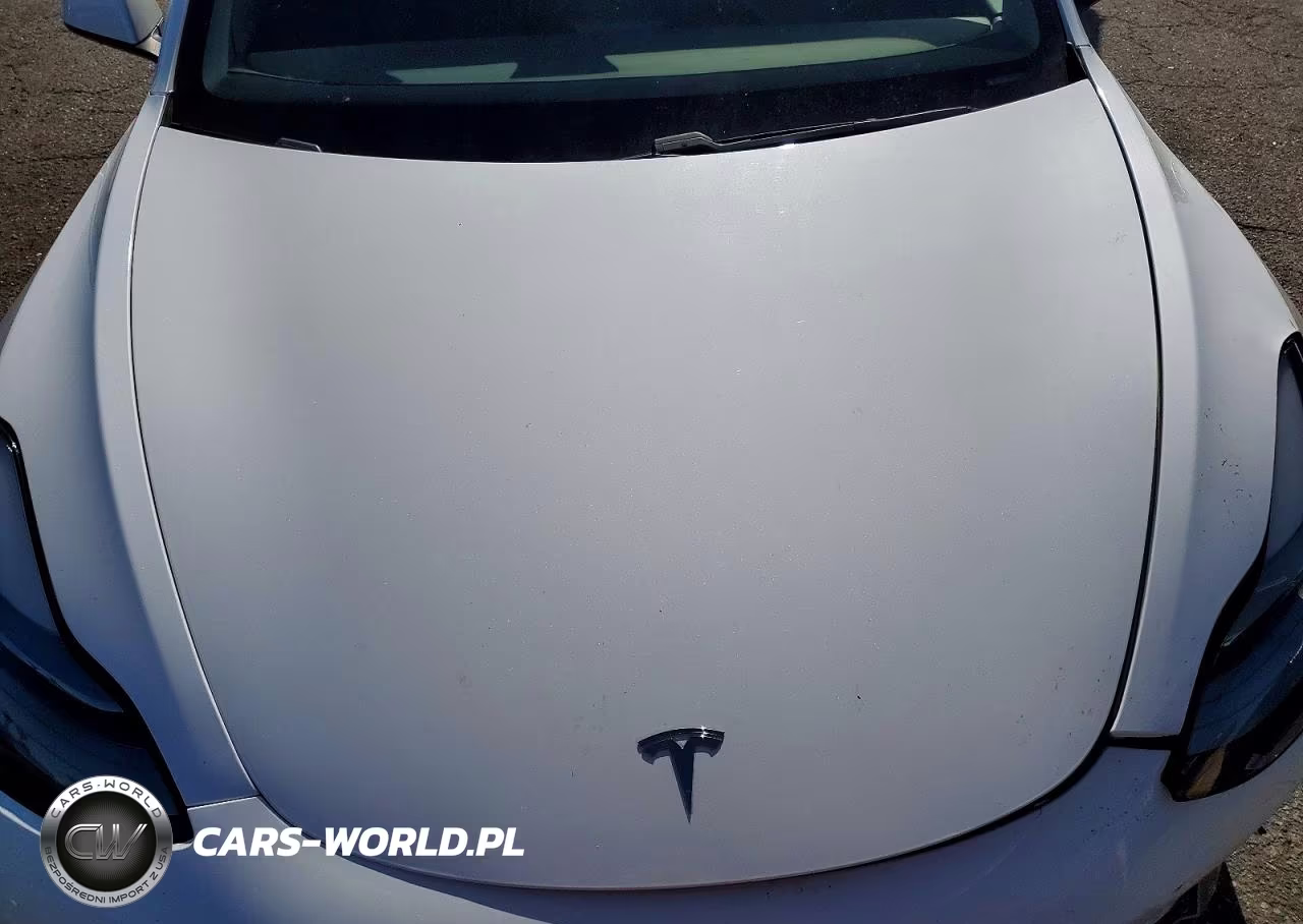 2021 Tesla Model 3 VIN:5YJ3E1EA8MF867613 - 11