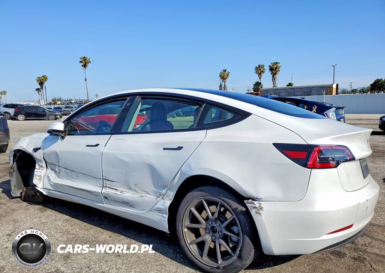 2021 Tesla Model 3 VIN:5YJ3E1EA8MF867613 - 2