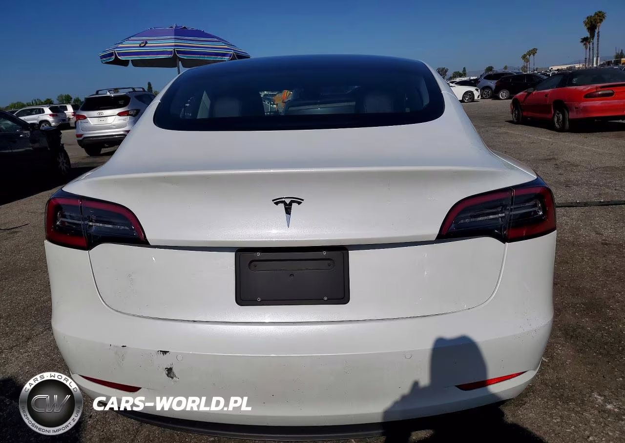 2021 Tesla Model 3 VIN:5YJ3E1EA8MF867613 - 6