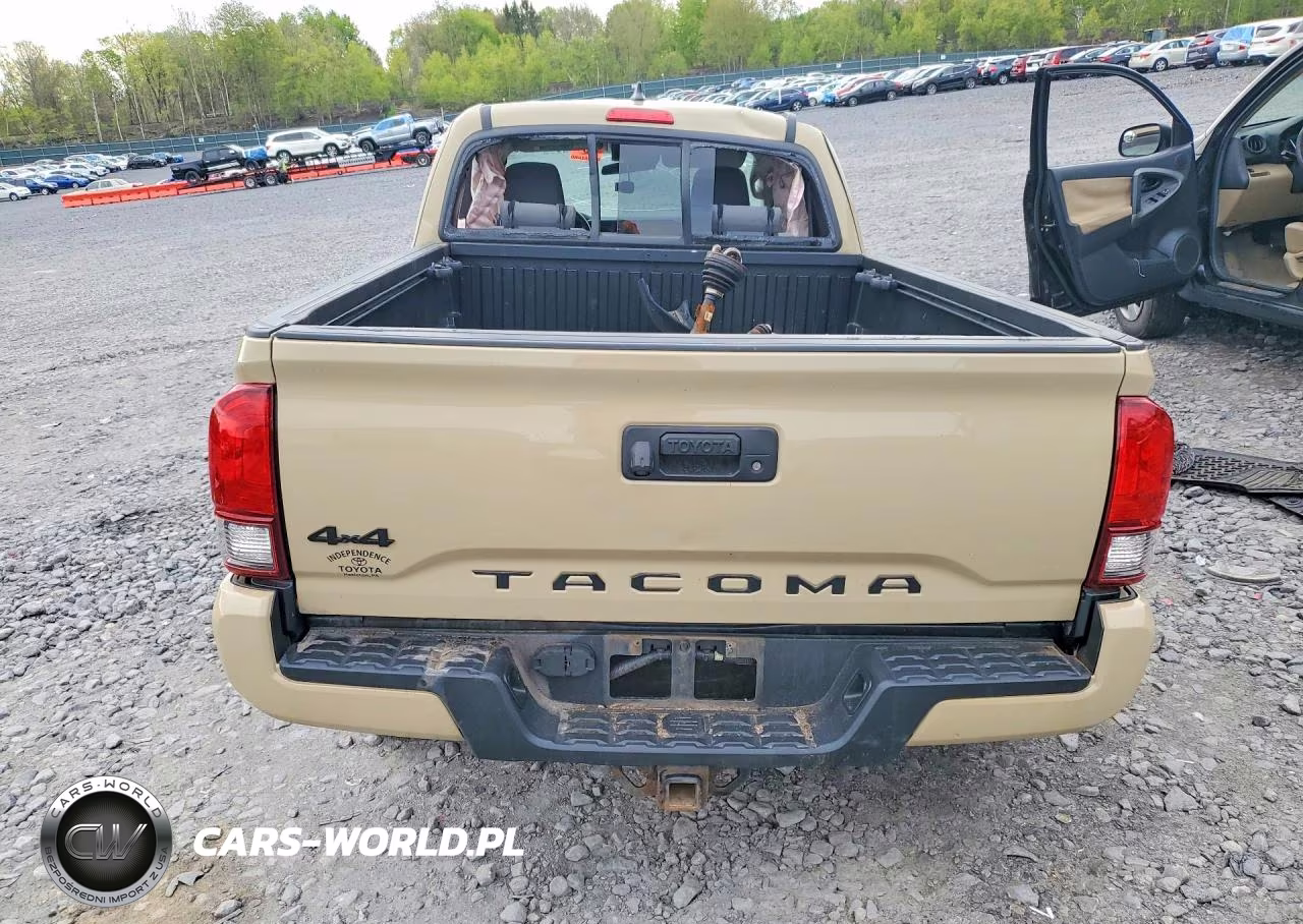 2019 Toyota Tacoma Sr V6 VIN:5TFSZ5AN1KX183084 - 6