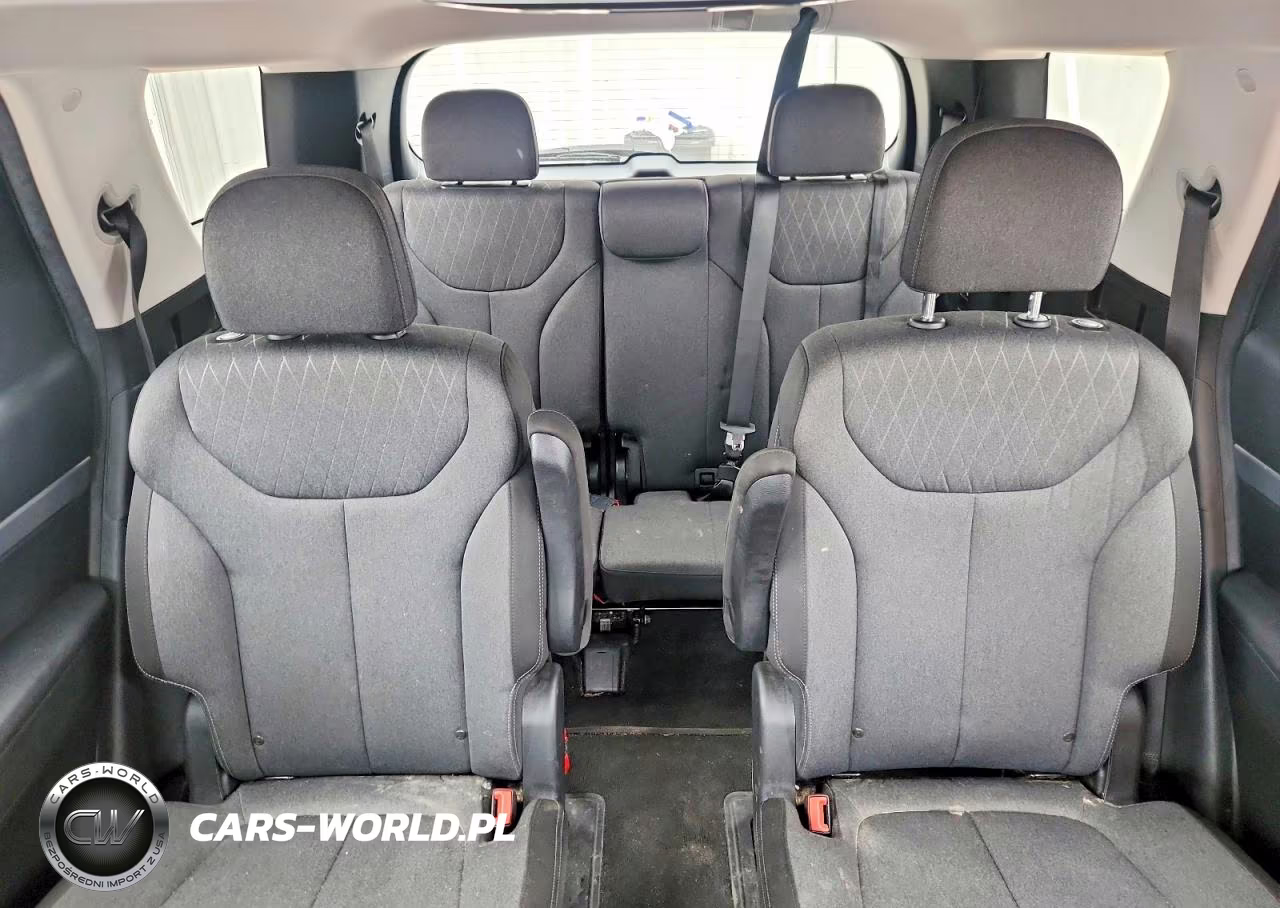 2020 Hyundai Palisade Sel VIN:KM8R3DHE4LU080871 - 10