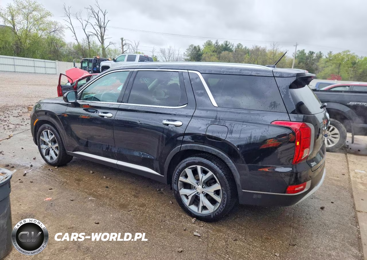 2020 Hyundai Palisade Sel VIN:KM8R3DHE4LU080871 - 2