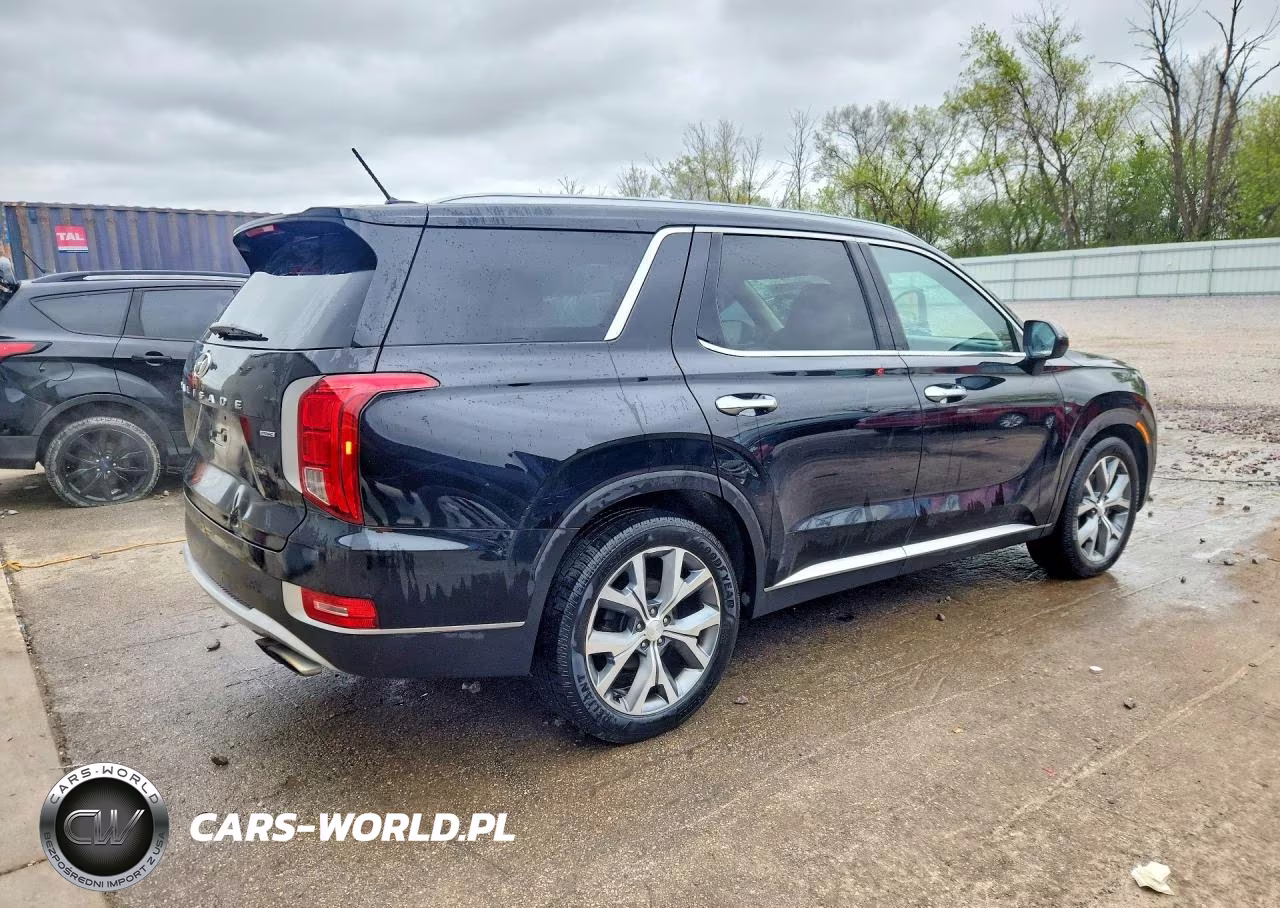 2020 Hyundai Palisade Sel VIN:KM8R3DHE4LU080871 - 3