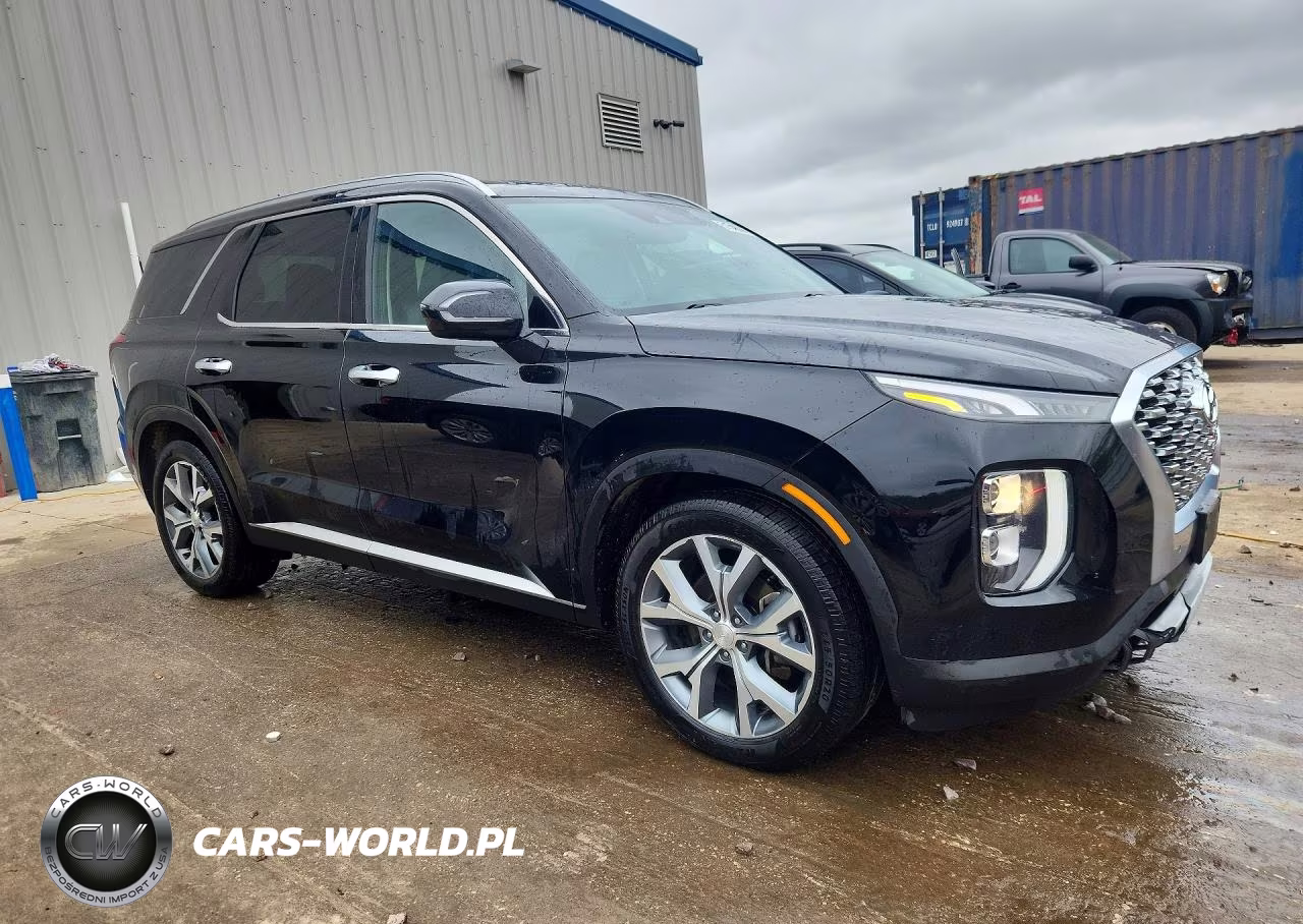 2020 Hyundai Palisade Sel VIN:KM8R3DHE4LU080871 - 4