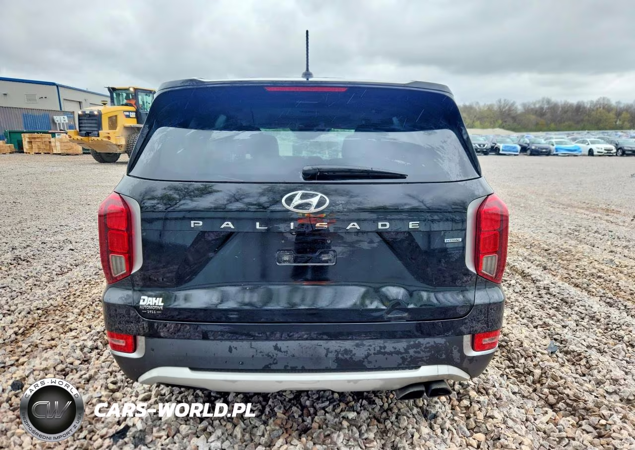 2020 Hyundai Palisade Sel VIN:KM8R3DHE4LU080871 - 6