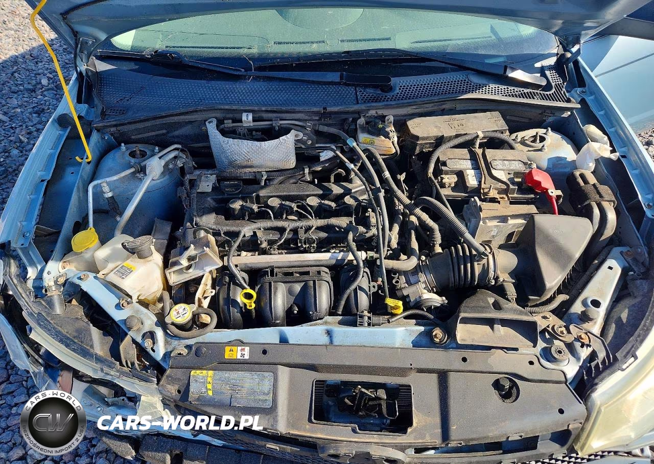 2009 Ford Focus Se VIN:1FAHP35N49W234842 - 11