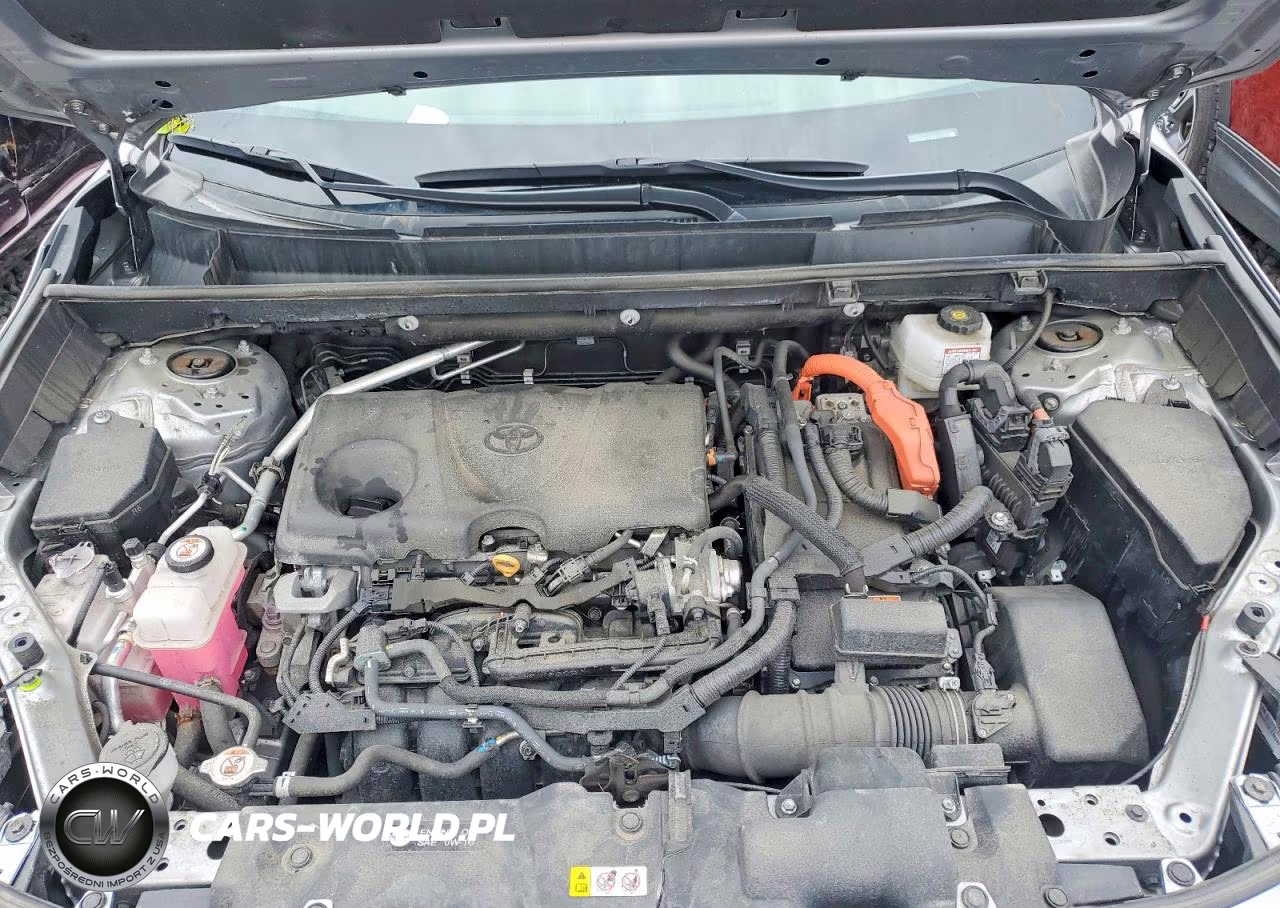 2024 Toyota Rav4 Hybrid Xle VIN:2T3RWRFV2RW196867 - 12