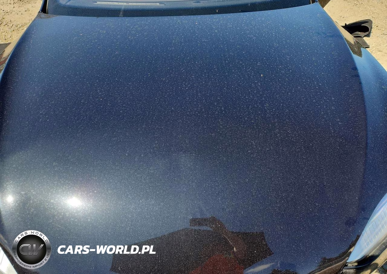 2015 Tesla Model S VIN:5YJSA1E29FF120279 - 11