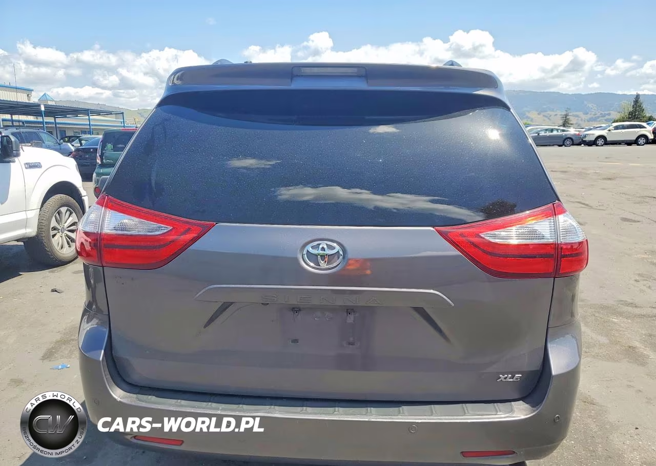 2017 Toyota Sienna Xle 8-Passenger VIN:5TDYZ3DC0HS896291 - 6