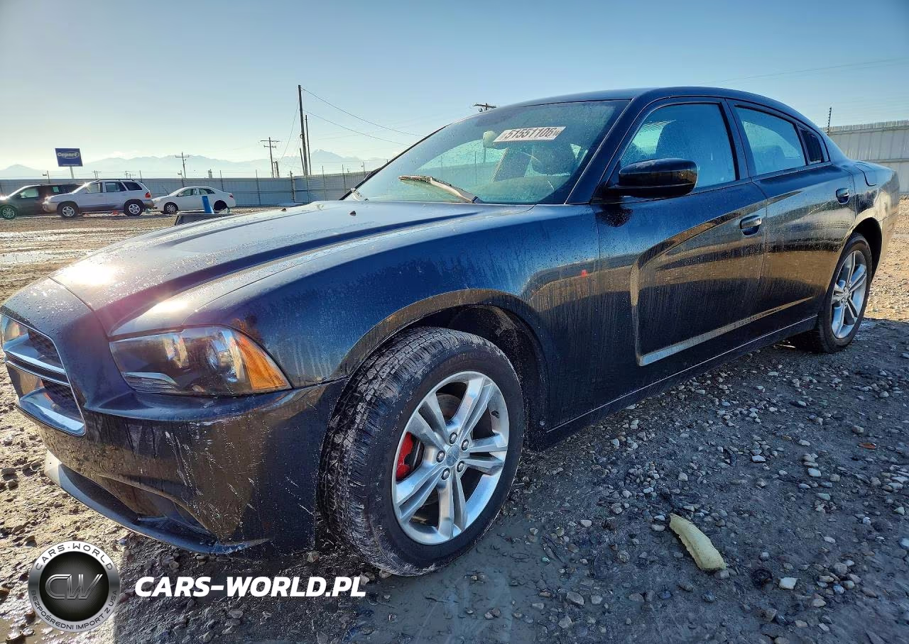 2014 Dodge Charger R