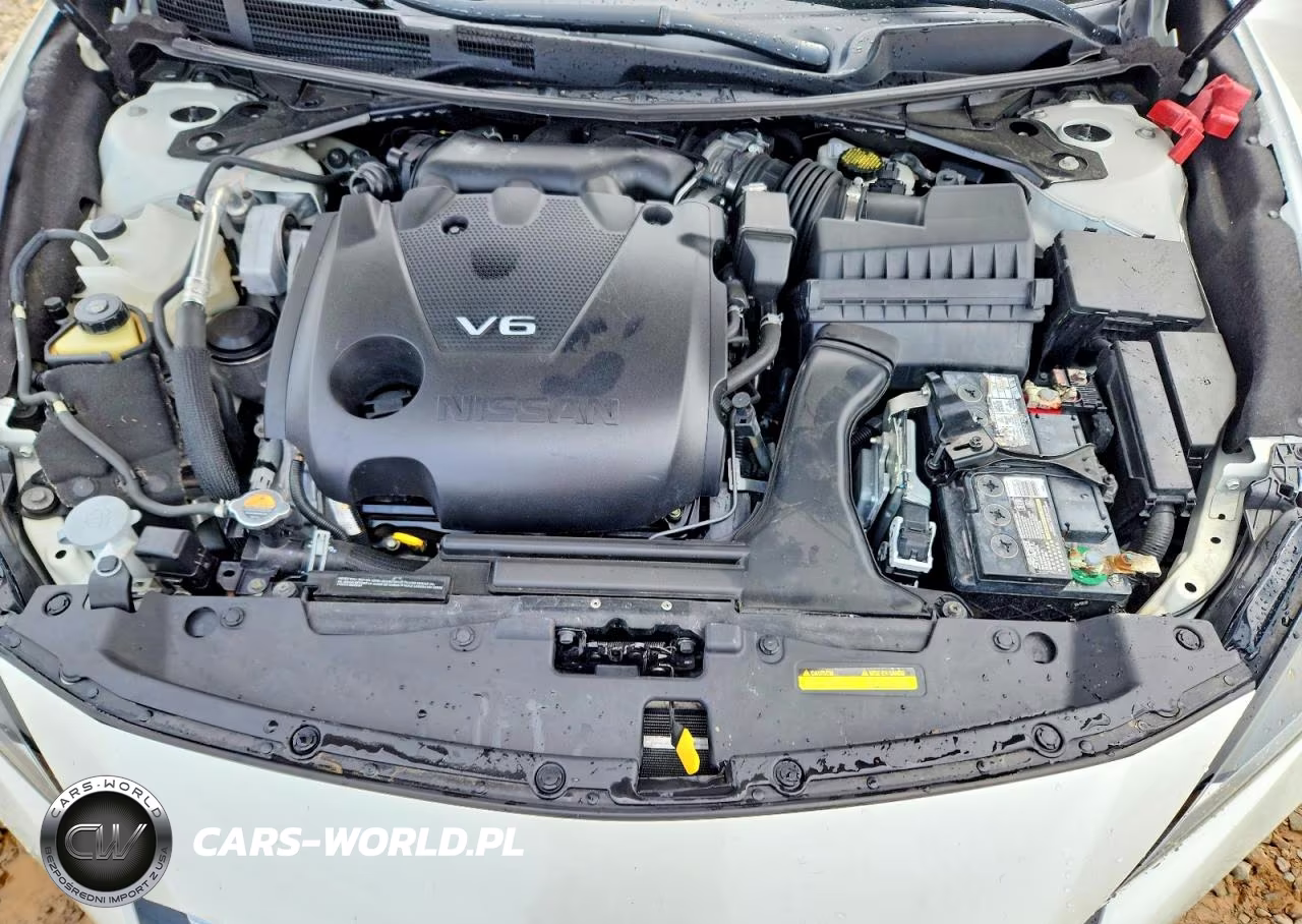 2020 Nissan Maxima Sr VIN:1N4AA6EV7LC365552 - 11