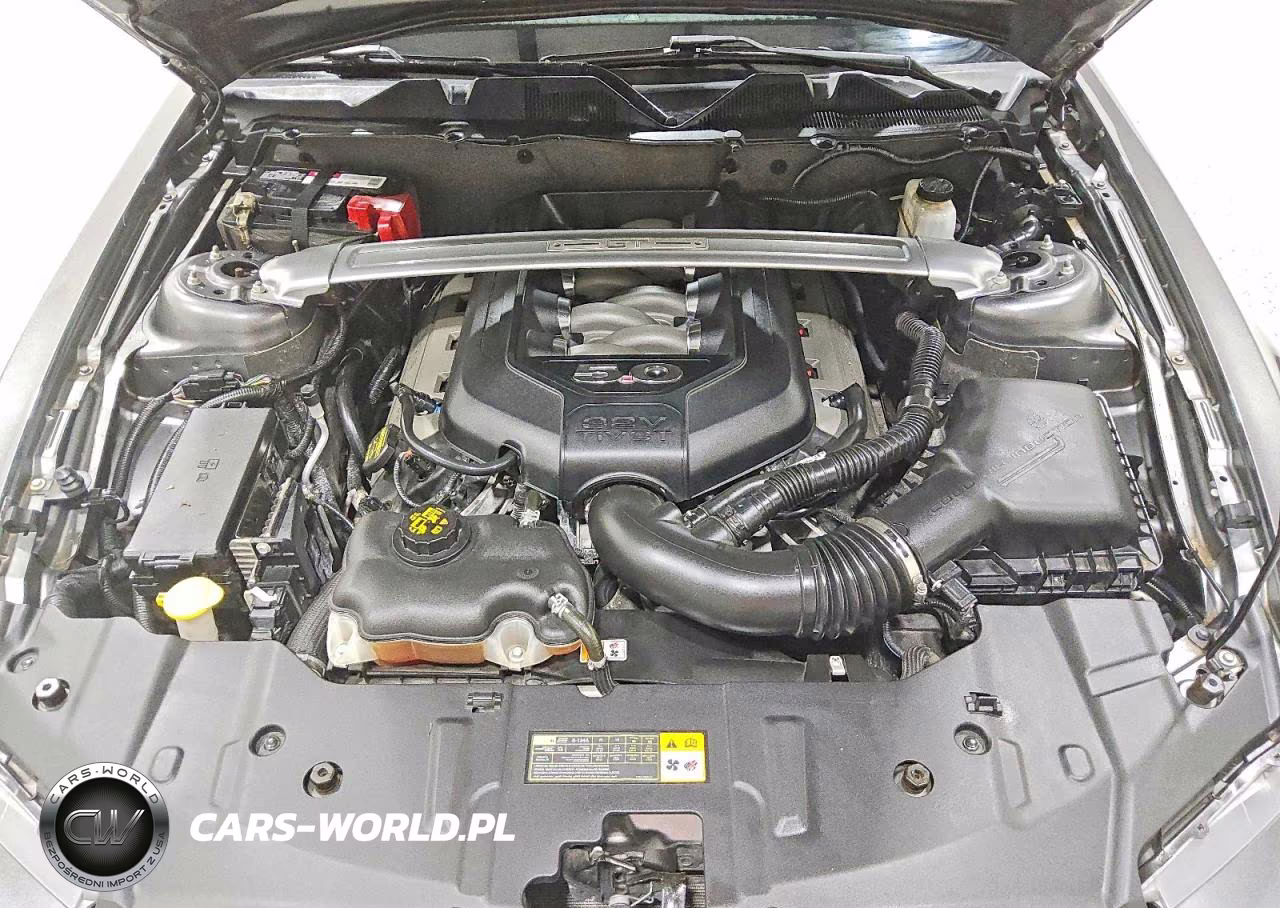 2013 Ford Mustang Gt VIN:1ZVBP8FF6D5220229 - 10