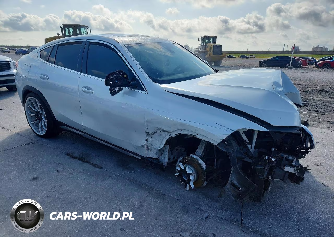 2023 BMW X6 xDrive40I VIN:5UXCY6C01P9N74437 - 4