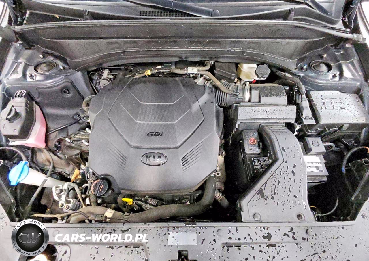 2021 Kia Telluride Ex VIN:5XYP3DHCXMG186139 - 12