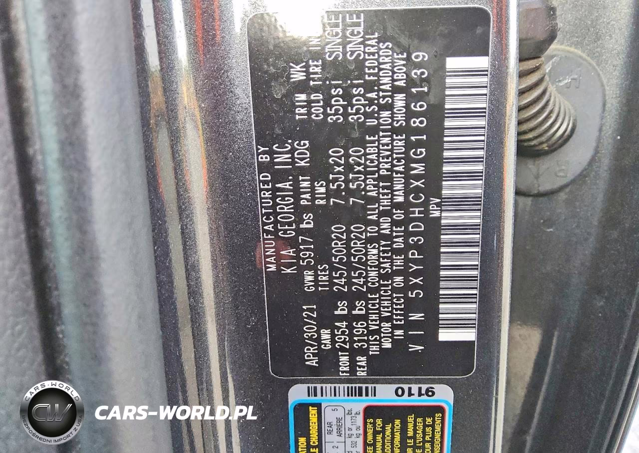 2021 Kia Telluride Ex VIN:5XYP3DHCXMG186139 - 13