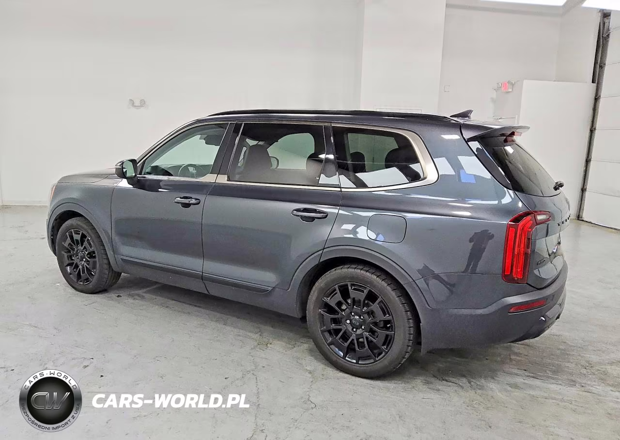 2021 Kia Telluride Ex VIN:5XYP3DHCXMG186139 - 2