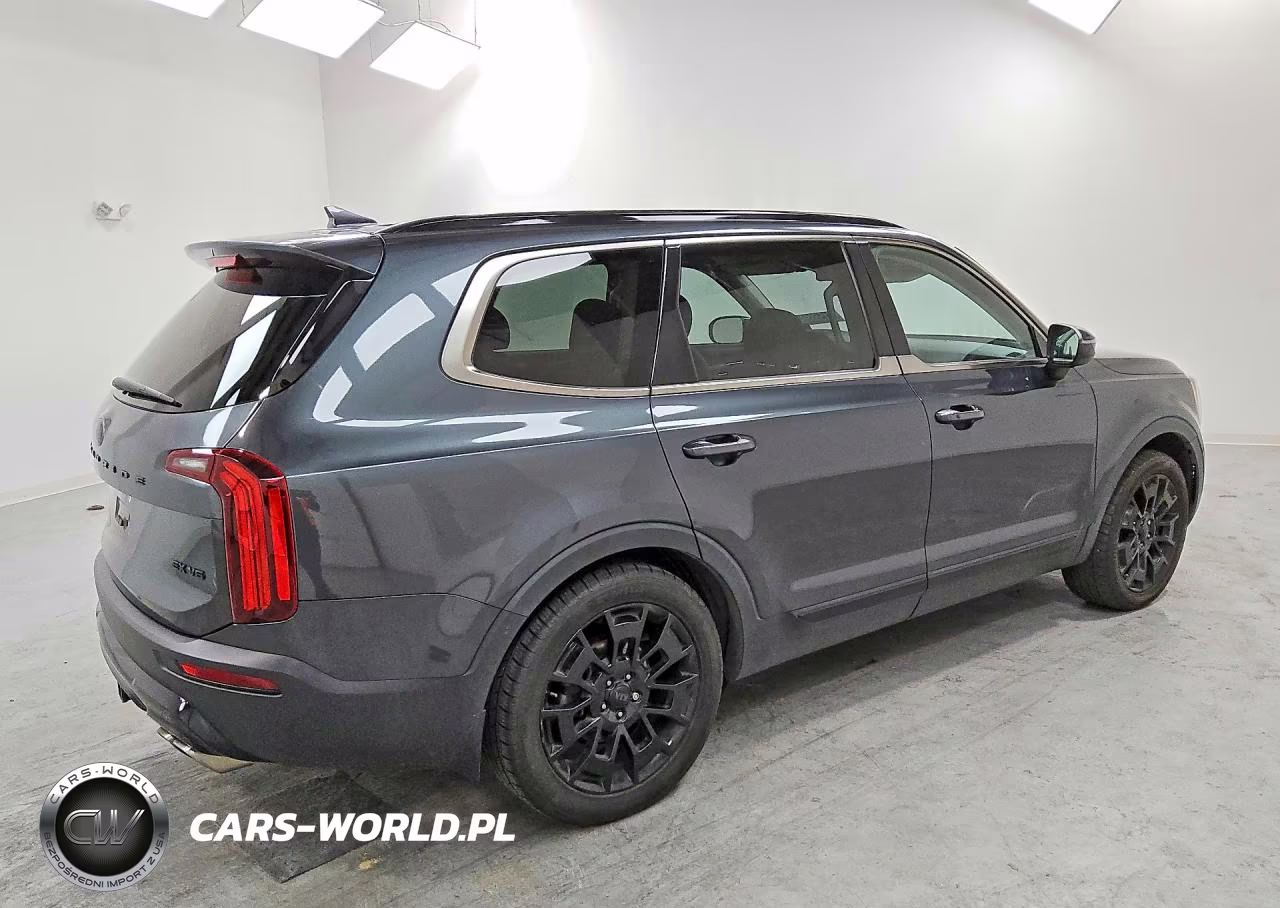 2021 Kia Telluride Ex VIN:5XYP3DHCXMG186139 - 3