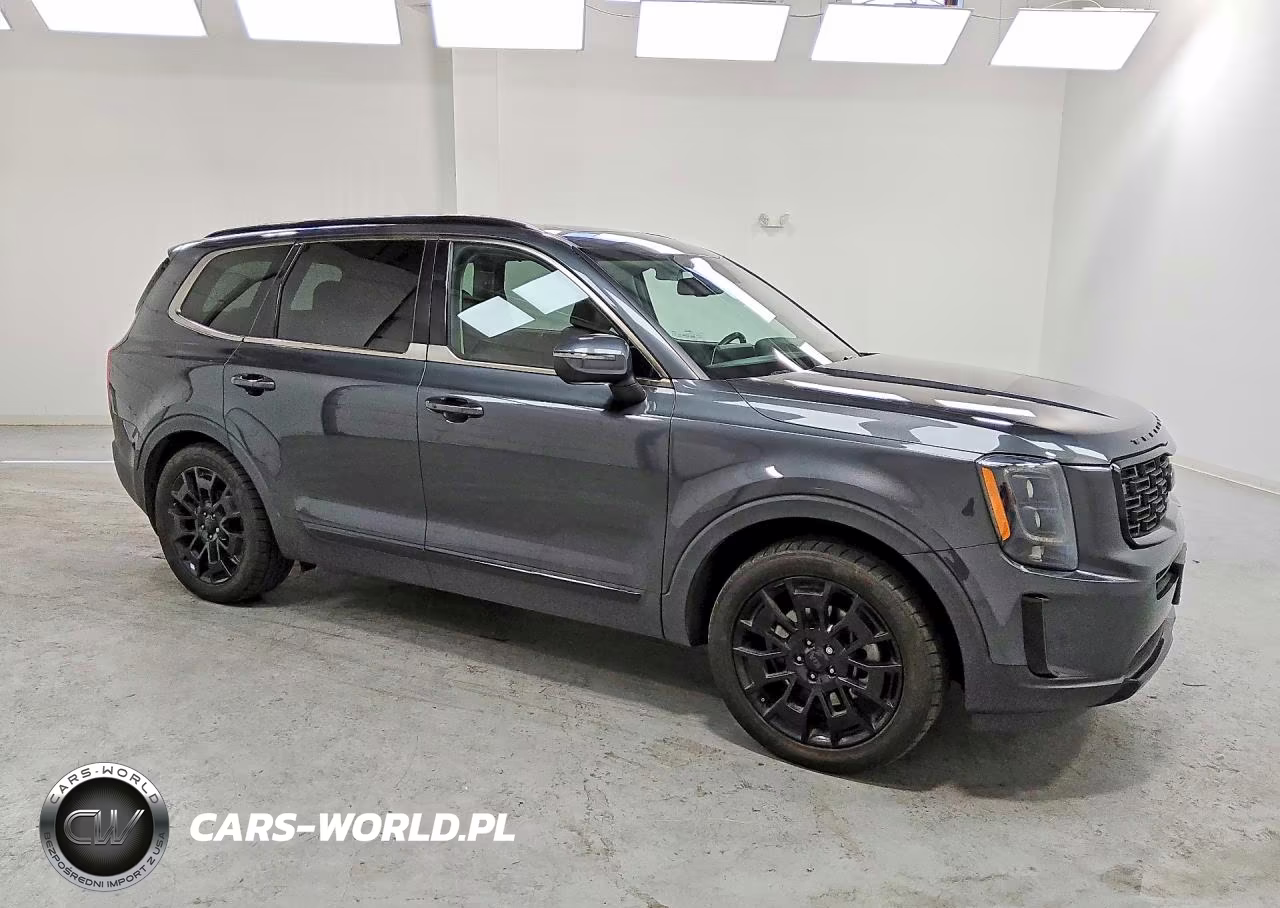 2021 Kia Telluride Ex VIN:5XYP3DHCXMG186139 - 4