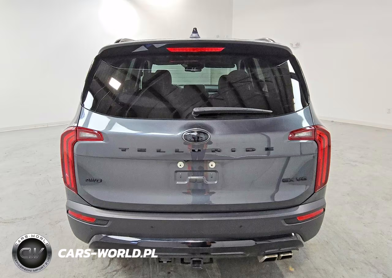 2021 Kia Telluride Ex VIN:5XYP3DHCXMG186139 - 6