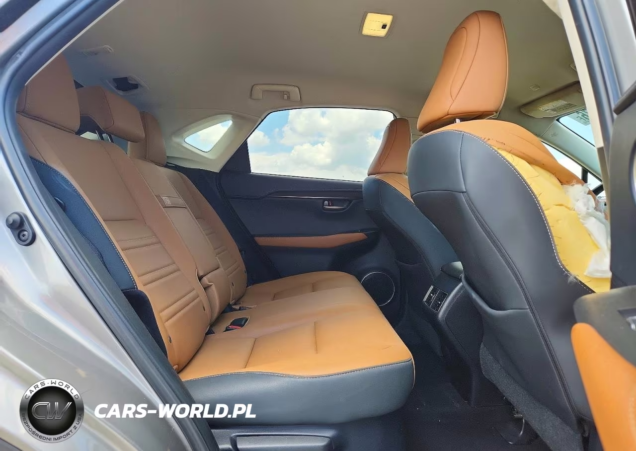 2020 Lexus Nx 300 Base VIN:JTJAARBZ1L5013667 - 11