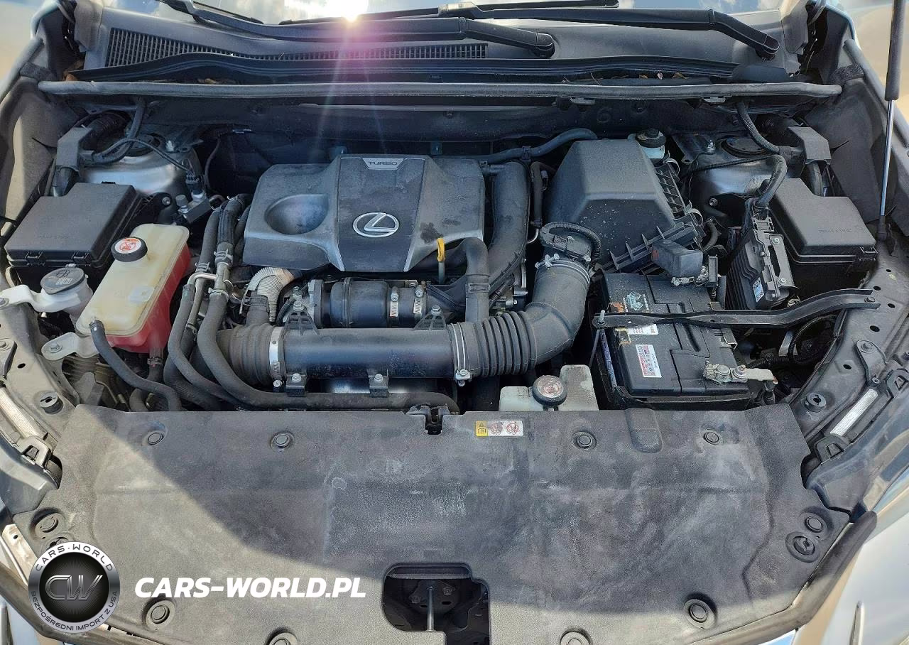 2020 Lexus Nx 300 Base VIN:JTJAARBZ1L5013667 - 12