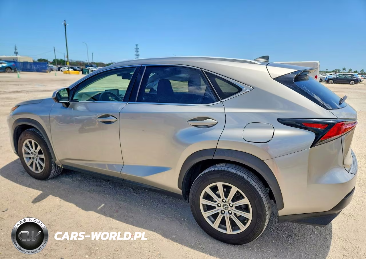 2020 Lexus Nx 300 Base VIN:JTJAARBZ1L5013667 - 2