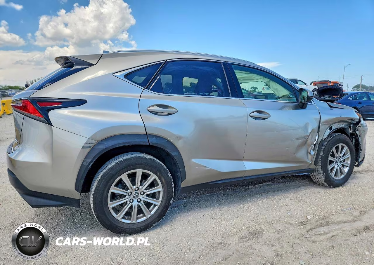 2020 Lexus Nx 300 Base VIN:JTJAARBZ1L5013667 - 3