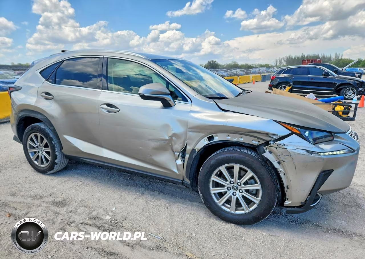 2020 Lexus Nx 300 Base VIN:JTJAARBZ1L5013667 - 4