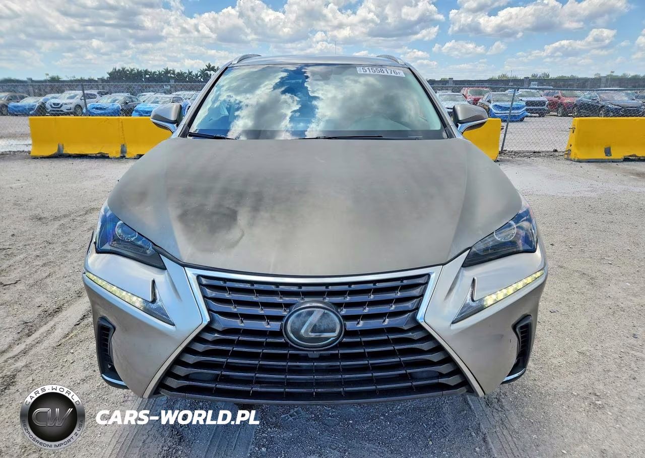 2020 Lexus Nx 300 Base VIN:JTJAARBZ1L5013667 - 5