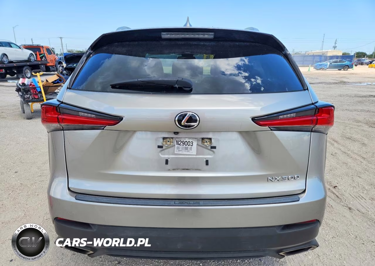 2020 Lexus Nx 300 Base VIN:JTJAARBZ1L5013667 - 6