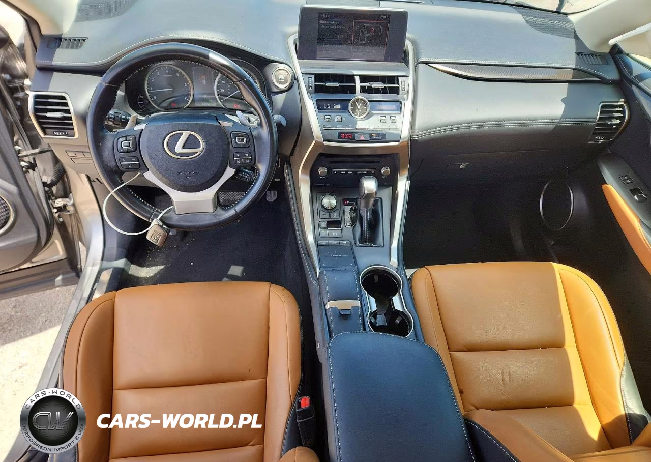 2020 Lexus Nx 300 Base VIN:JTJAARBZ1L5013667 - 8