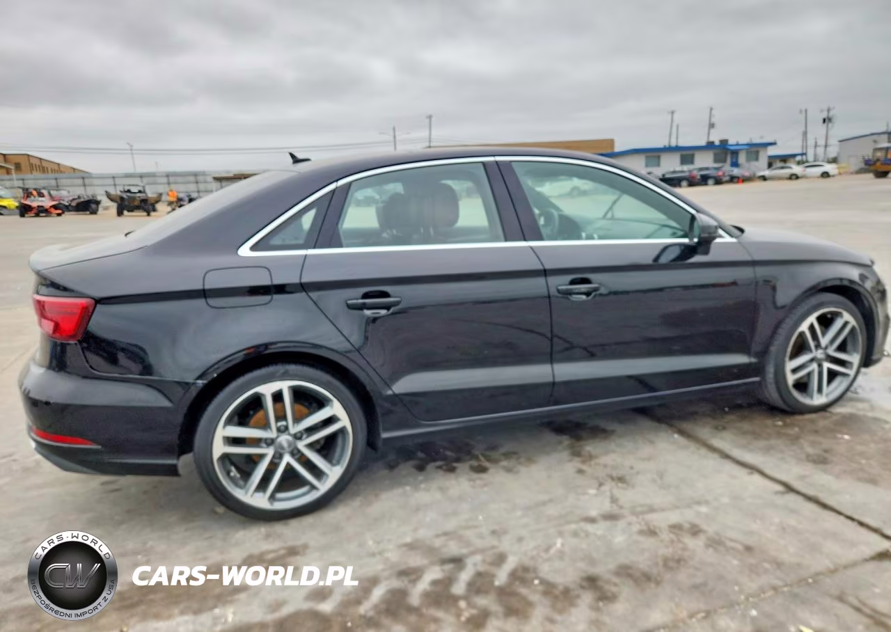 2019 Audi A3 Premium VIN:WAUAUGFF7K1009298 - 3