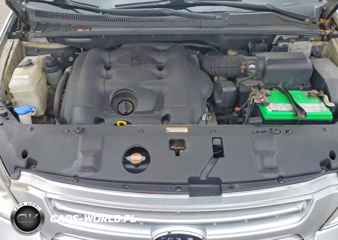2008 Kia Sedona Lx VIN:KNDMB233286220696 - 12