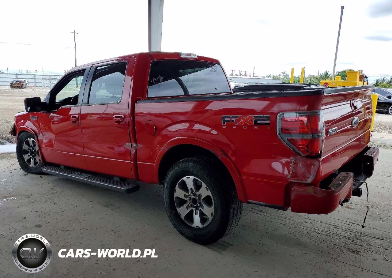 2010 Ford F150 Supercrew VIN:1FTEW1C89AKE68925 - 2