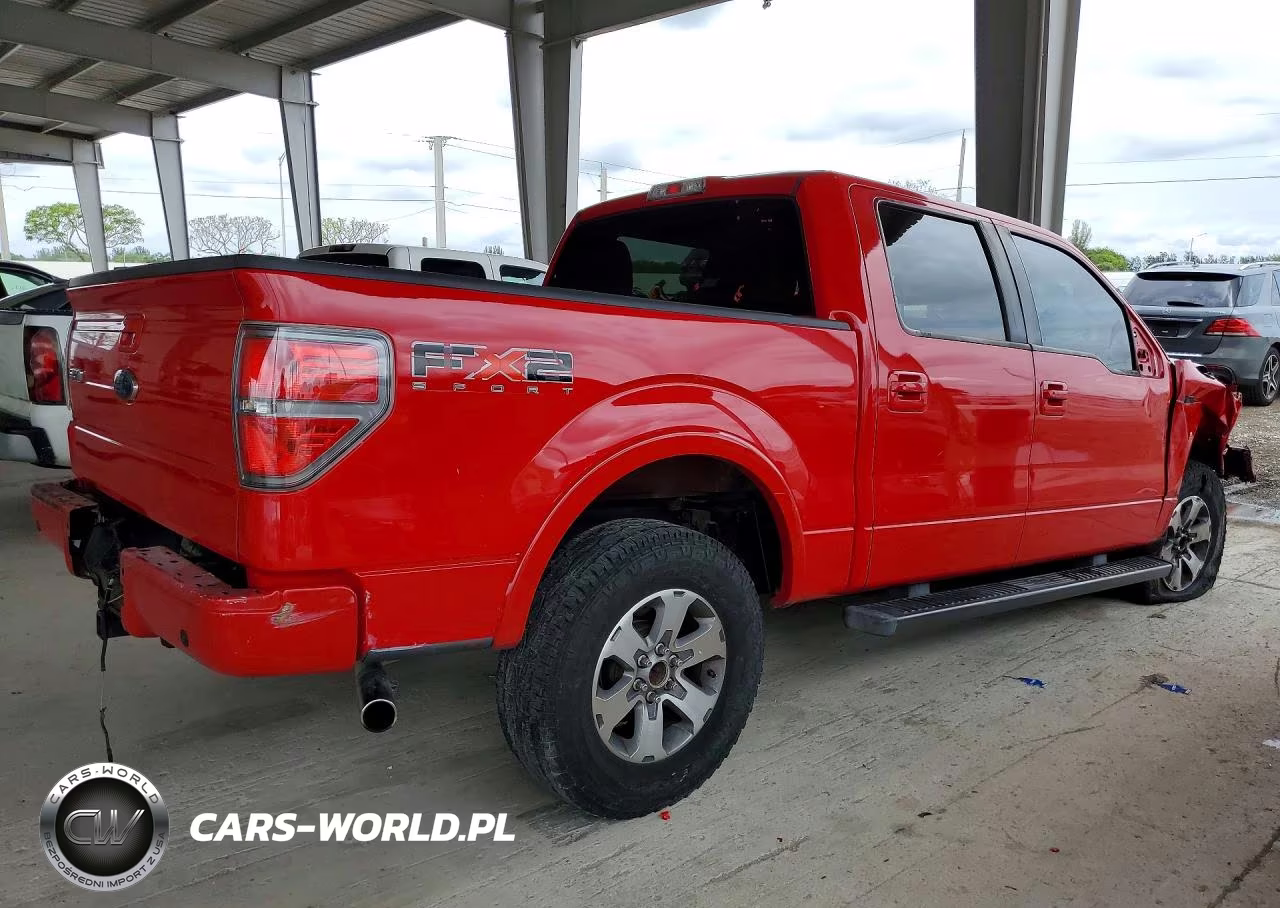 2010 Ford F150 Supercrew VIN:1FTEW1C89AKE68925 - 3