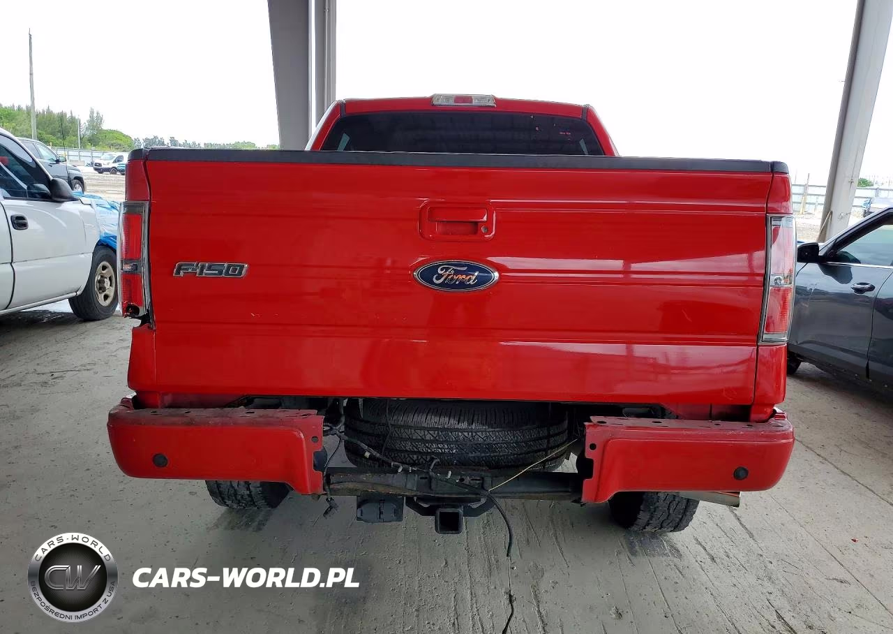 2010 Ford F150 Supercrew VIN:1FTEW1C89AKE68925 - 6