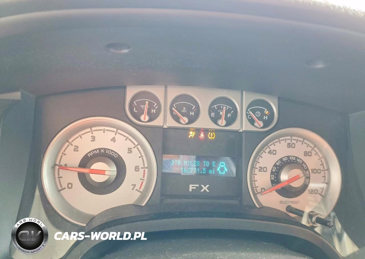 2010 Ford F150 Supercrew VIN:1FTEW1C89AKE68925 - 9