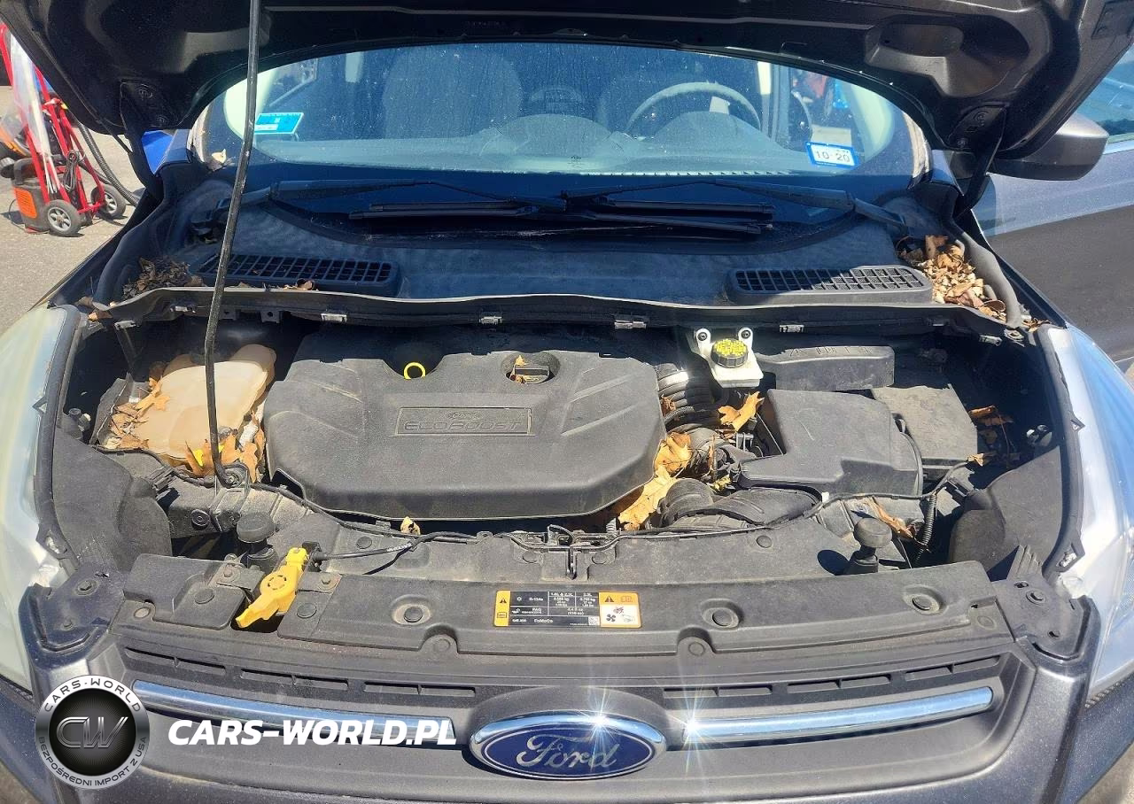 2016 Ford Escape Se VIN:1FMCU0G96GUC13166 - 11