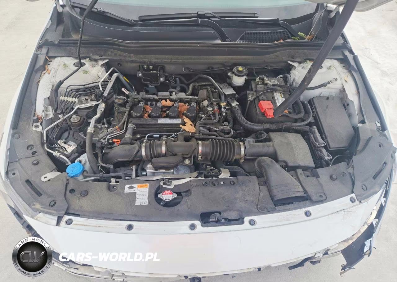 2020 Honda Accord Ex VIN:1HGCV1F42LA017655 - 11