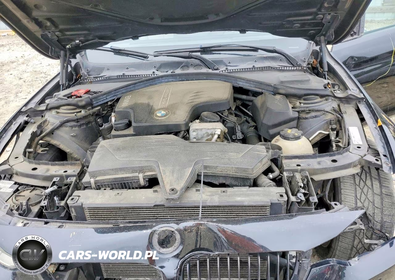 2015 BMW 428 Xi VIN:WBA3N5C52FK197542 - 11