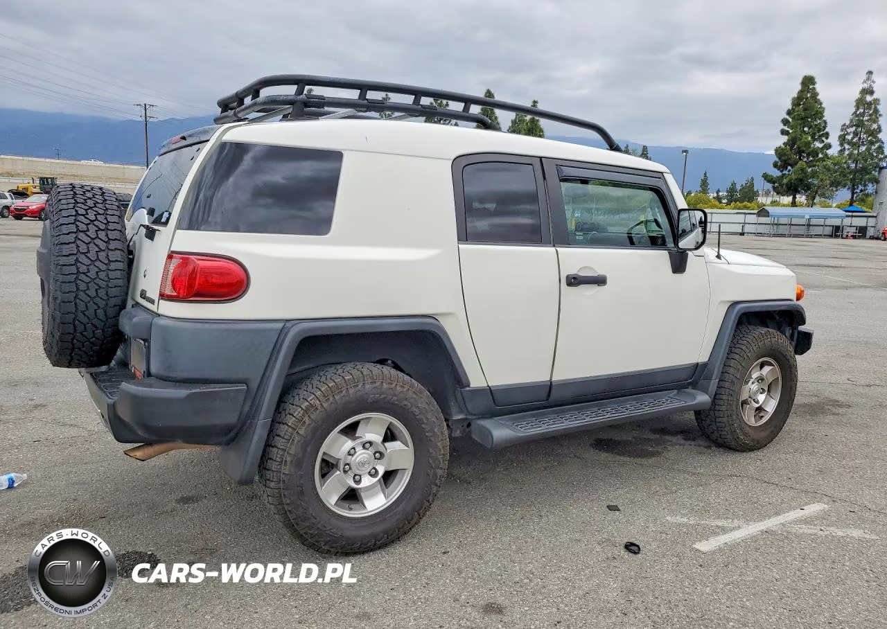 2010 Toyota Fj Cruiser Base VIN:JTEBU4BF4AK092835 - 3