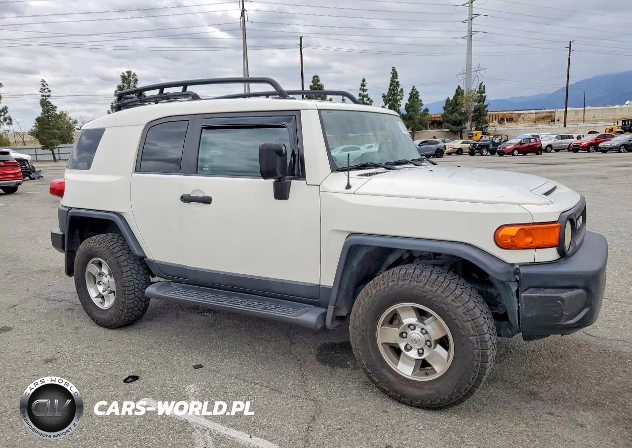 2010 Toyota Fj Cruiser Base VIN:JTEBU4BF4AK092835 - 4