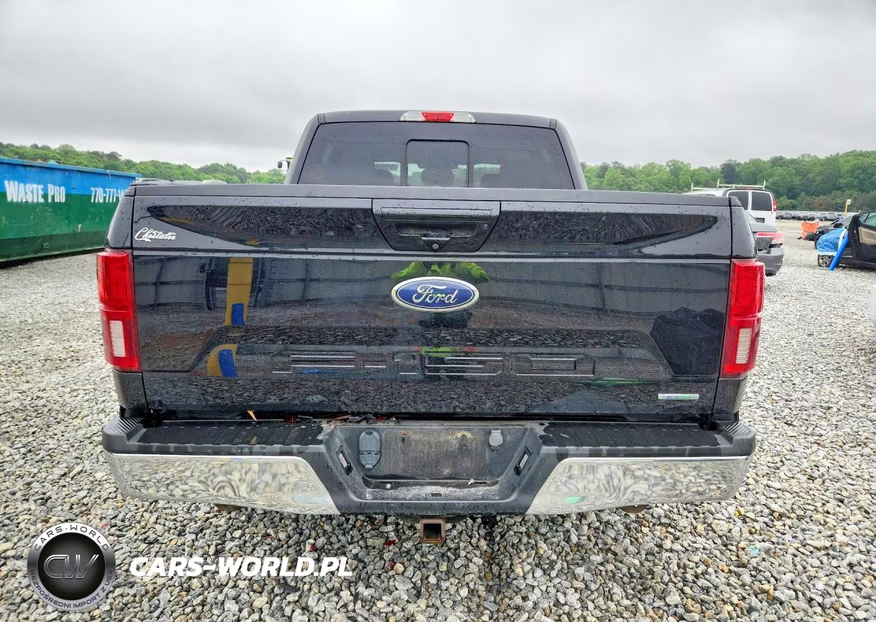 2020 Ford F150 Supercrew VIN:1FTEW1CP2LFC18171 - 6