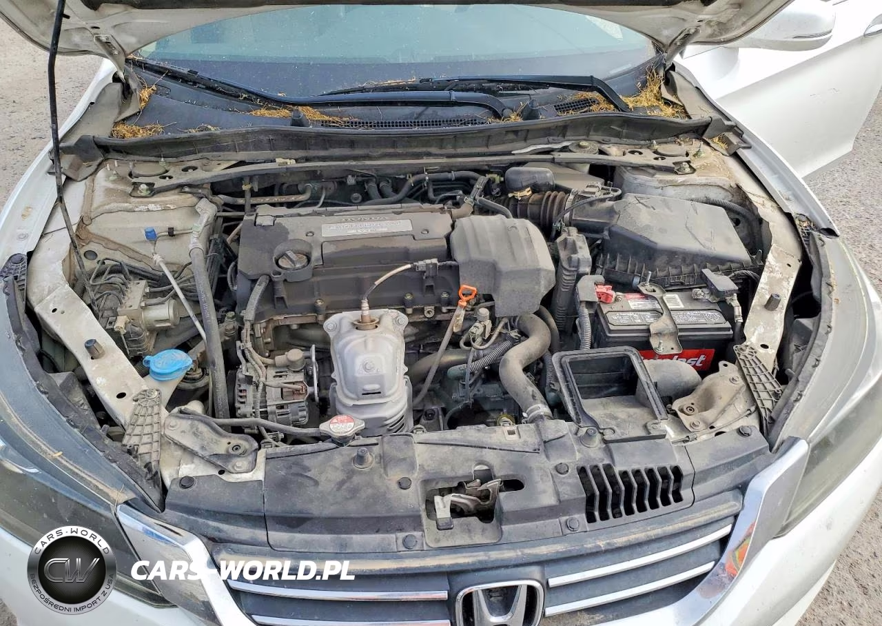 2013 Honda Accord Exl VIN:1HGCR2F81DA089235 - 11