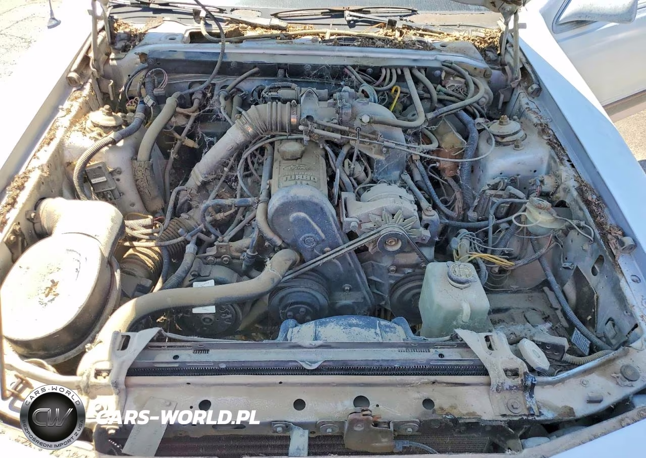 1986 Ford Thunderbird VIN:1FABP46W0GH136329 - 11