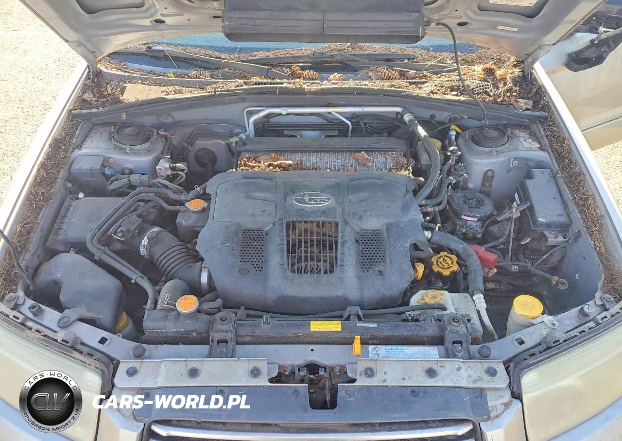 2006 Subaru Forester 2.5Xt VIN:JF1SG69666H710793 - 11