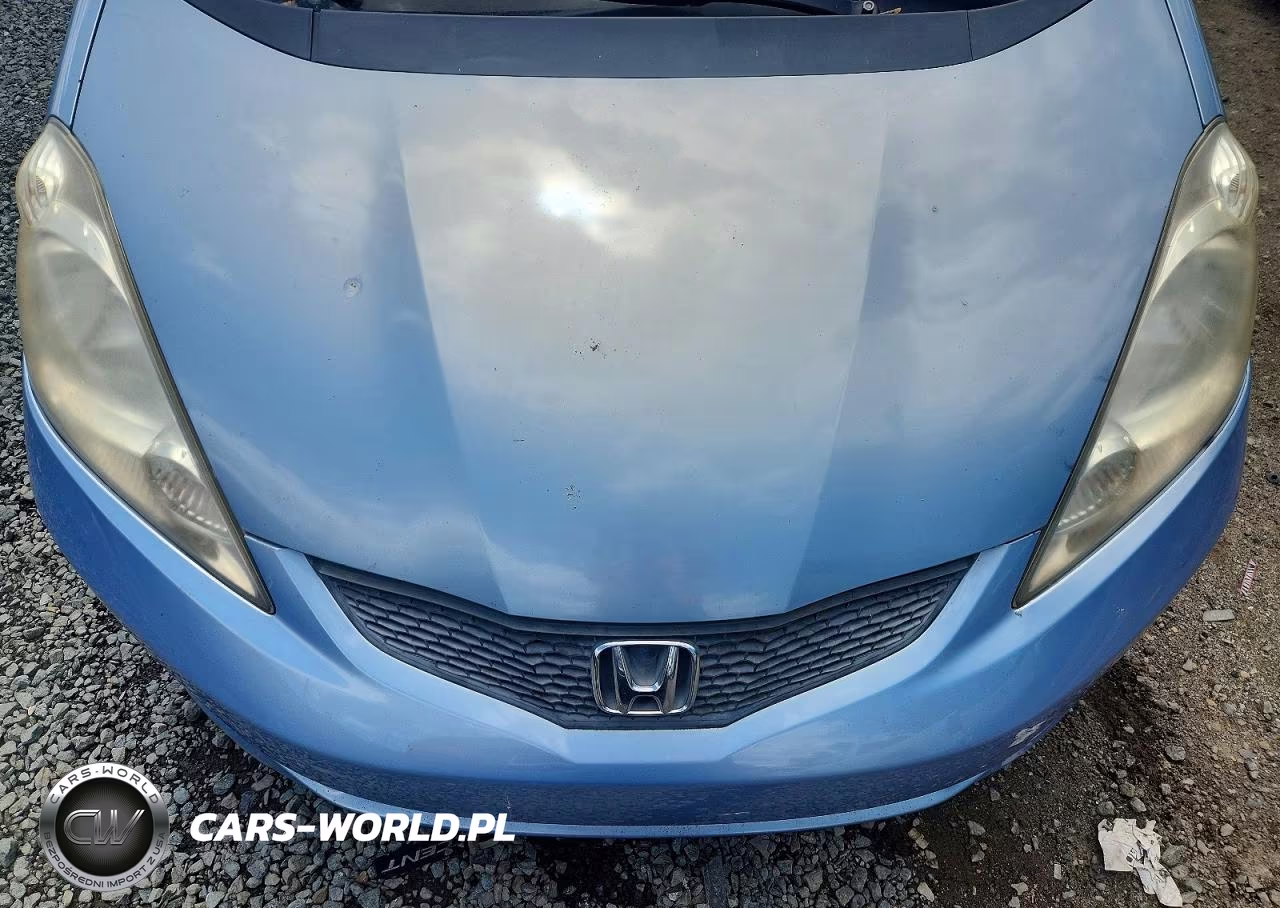 2009 Honda Fit Sport VIN:JHMGE88479S041733 - 11